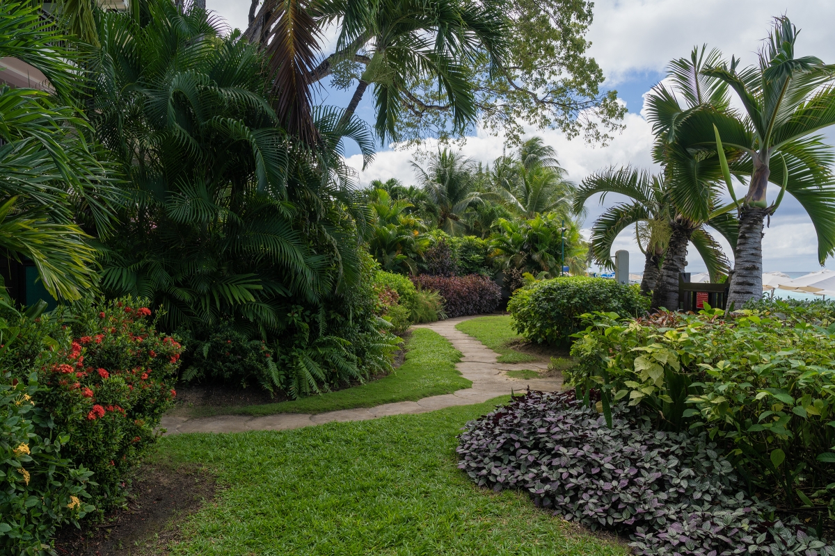 Coral Cove 10